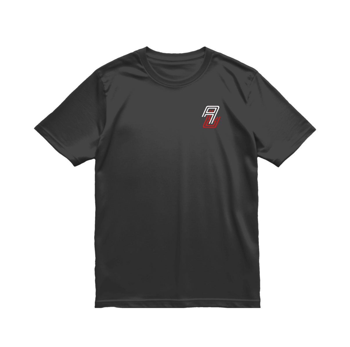 T-Shirt | AA Embroidered Grey – ICONBOX