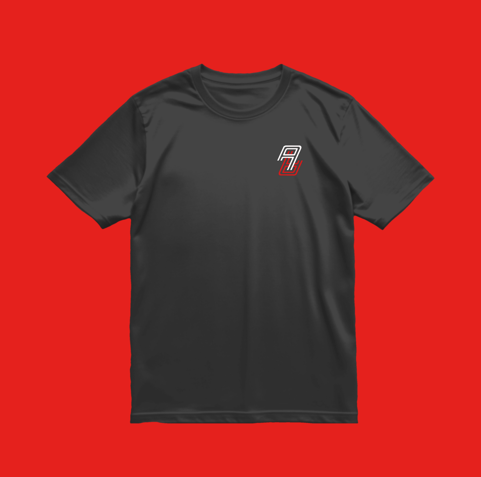 T-Shirt | AA Embroidered Grey – ICONBOX